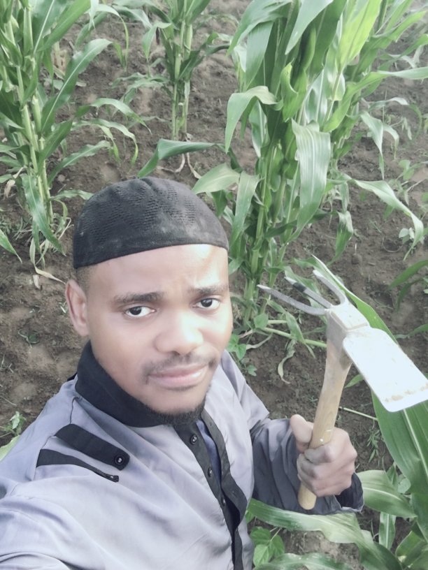 Food programs and community meals